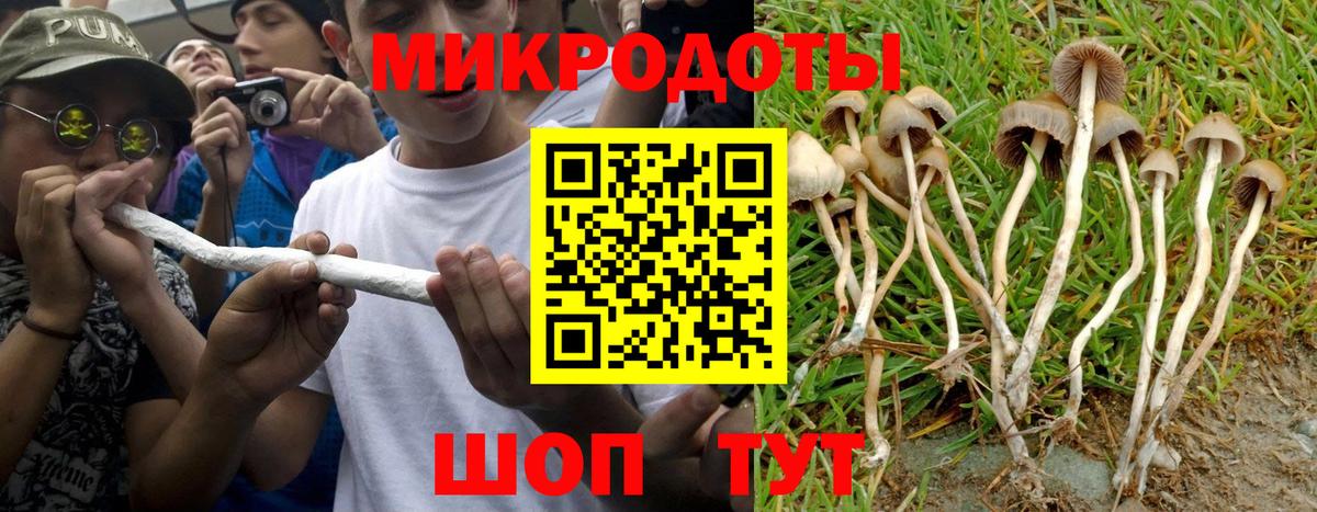 Псилоцибиновые грибы Magic Shrooms  Вход с VPN  Каспийск 